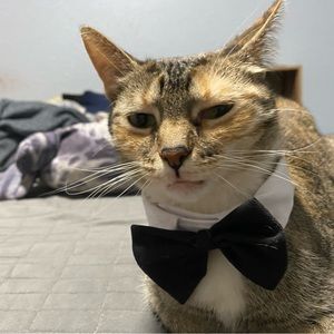 Meet your Posher, Daniel